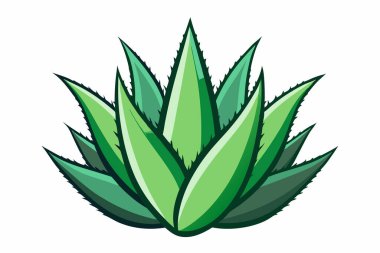 Aloe Vera simge tasarımı güzellik sembolü cilt bakımı