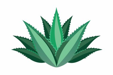 Aloe Vera simge tasarımı güzellik sembolü cilt bakımı