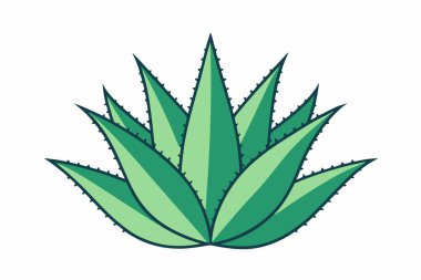 Aloe Vera simge tasarımı güzellik sembolü cilt bakımı