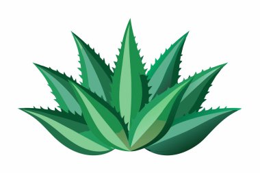 Aloe Vera simge tasarımı güzellik sembolü cilt bakımı
