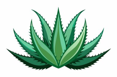 Aloe Vera simge tasarımı güzellik sembolü cilt bakımı