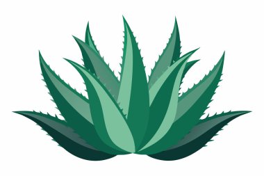 Aloe Vera simge tasarımı güzellik sembolü cilt bakımı