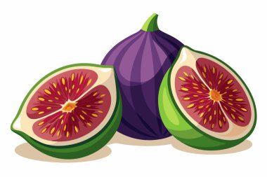 Fresh Fig Black Mission Fig Purple Fig Hand Drawn Vector Illustration clipart