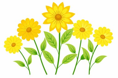 Bir İlkbahar Düzenlemesinde Canlı Sarı Çiçekler