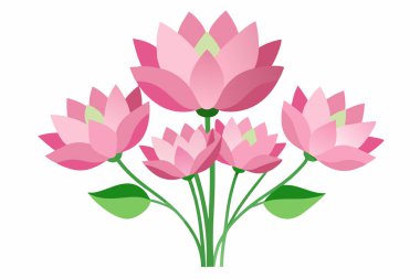 Pembe nilüfer çiçekleri beyaz arkaplanda soyutlanır.