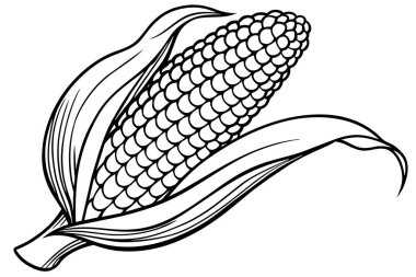 Elegant Black and White Line Art Illustration of an Ear of Corn clipart