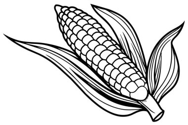 Elegant Black and White Line Art Illustration of an Ear of Corn clipart