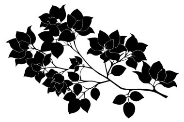 Zarif Siyah ve Beyaz Bougainvillea Silueti