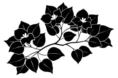 Zarif Siyah ve Beyaz Bougainvillea Silueti