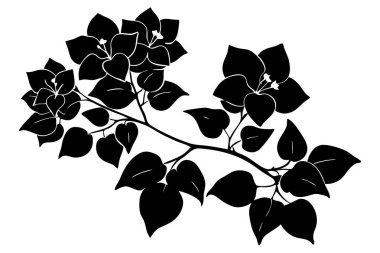 Zarif Siyah ve Beyaz Bougainvillea Silueti