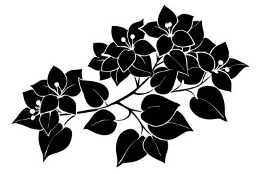 Zarif Siyah ve Beyaz Bougainvillea Silueti
