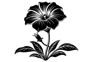 Elegant Black and White Illustration of a Blossoming Flower clipart