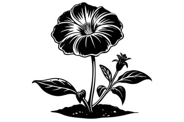 Elegant Black and White Illustration of a Blossoming Flower clipart