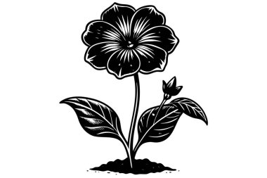 Elegant Black and White Illustration of a Blossoming Flower clipart