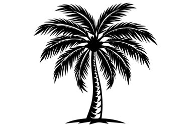 Striking Black and White Palm Tree Silhouette clipart