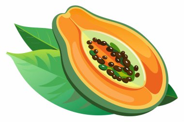 Koyu yeşil yapraklı bir Papaya Yarısının Renkli Resimleri