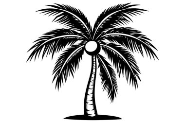 Striking Black Silhouette of a Tropical Palm Tree clipart