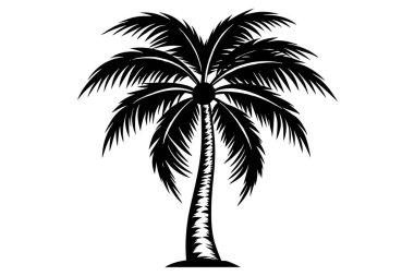 Striking Black Silhouette of a Tropical Palm Tree clipart