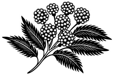 Elegant Black and White Floral Design for Decorative Use clipart