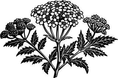 Detailed Black and White Illustration of a Floral Bouquet clipart