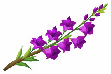 Vibrant Purple Gladiolus Stem Against White Background clipart