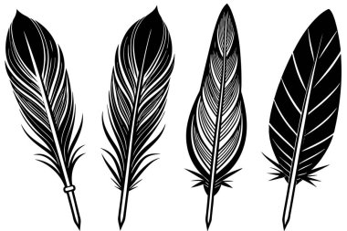 Elegant Black and White Feather Design Set clipart