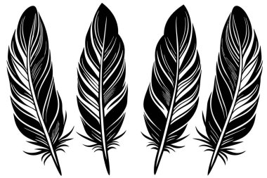 Elegant Black and White Feather Design Set clipart