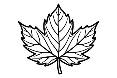 Simple Black Line Drawing of an Oak Leaf clipart