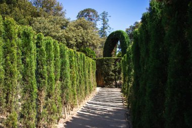 Neoklasik tarihi bahçe Parc del Laberint d 'Horta, Barselona, İspanya, Sürdürülebilirlik, çevreyi koruma, biyolojik çeşitliliği koruma