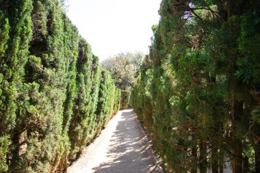 Neoklasik tarihi bahçe Parc del Laberint d 'Horta, Barselona, İspanya, Sürdürülebilirlik, çevreyi koruma, biyolojik çeşitliliği koruma