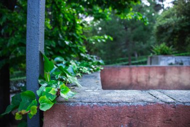 Neoklasik tarihi bahçe Parc del Laberint d 'Horta, Barselona, İspanya, Sürdürülebilirlik, çevreyi koruma, biyolojik çeşitliliği koruma