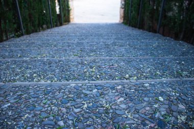 Neoklasik tarihi bahçe Parc del Laberint d 'Horta, Barselona, İspanya, Sürdürülebilirlik, çevreyi koruma, biyolojik çeşitliliği koruma