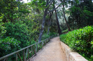 Neoklasik tarihi bahçe Parc del Laberint d 'Horta, Barselona, İspanya, Sürdürülebilirlik, çevreyi koruma, biyolojik çeşitliliği koruma