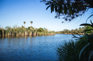 Mutlu Dünya Günü, Dünya 'yı İyileştir, Barselona, İspanya' da Delta del Llobregat, Sürdürülebilirlik, Çevreyi Korumak, Biyolojik Çeşitliliği Korumak