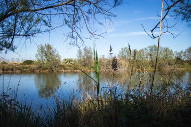 Mutlu Dünya Günü, Dünya 'yı İyileştir, Barselona, İspanya' da Delta del Llobregat, Sürdürülebilirlik, Çevreyi Korumak, Biyolojik Çeşitliliği Korumak