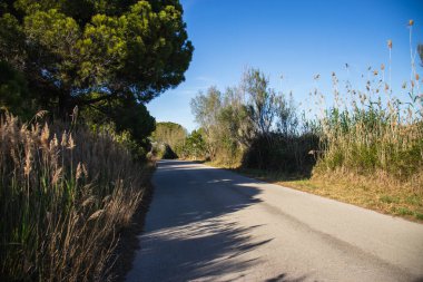 Mutlu Dünya Günü, Dünya 'yı İyileştir, Barselona, İspanya' da Delta del Llobregat, Sürdürülebilirlik, Çevreyi Korumak, Biyolojik Çeşitliliği Korumak