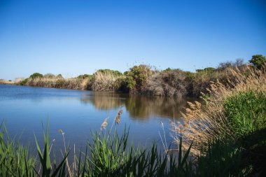 Mutlu Dünya Günü, Dünya 'yı İyileştir, Barselona, İspanya' da Delta del Llobregat, Sürdürülebilirlik, Çevreyi Korumak, Biyolojik Çeşitliliği Korumak
