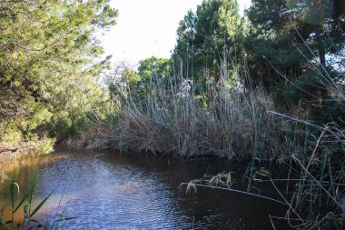 Mutlu Dünya Günü, Dünya 'yı İyileştir, Barselona, İspanya' da Delta del Llobregat, Sürdürülebilirlik, Çevreyi Korumak, Biyolojik Çeşitliliği Korumak
