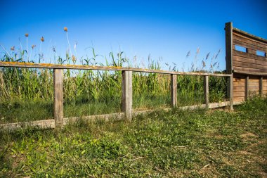 Mutlu Dünya Günü, Dünya 'yı İyileştir, Barselona, İspanya' da Delta del Llobregat, Sürdürülebilirlik, Çevreyi Korumak, Biyolojik Çeşitliliği Korumak