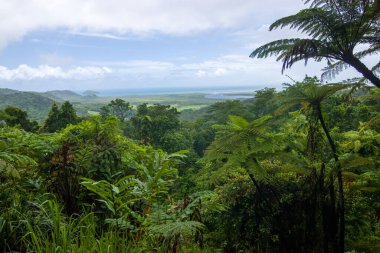 Sidney Briç Şehri Avustralya