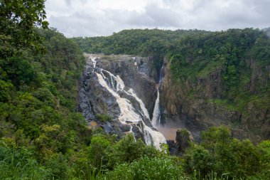 Şelale Avustralya Doğu Kıyısı