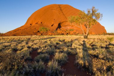 Avustralya tatlı kampı doğu kıyısı