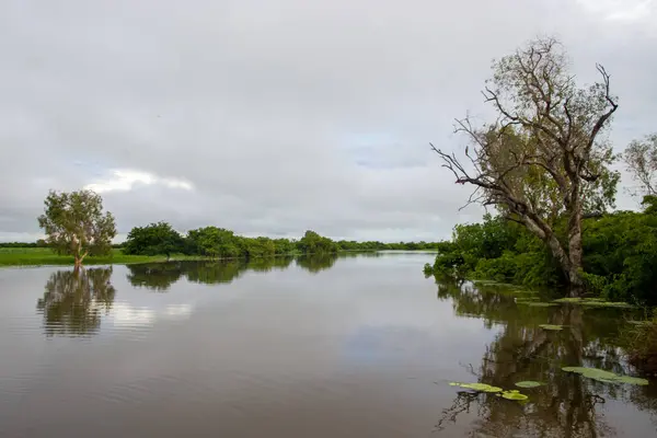 Sidney Briç Şehri Avustralya