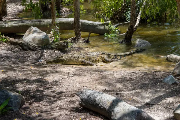 Doğu kıyısı Avustralya plajları
