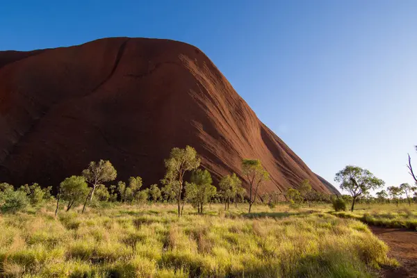 Avustralya tatlı kampı doğu kıyısı