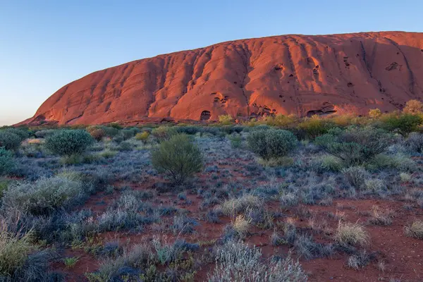 Avustralya tatlı kampı doğu kıyısı