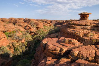Sidney Briç Şehri Avustralya