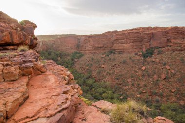 Sidney Briç Şehri Avustralya
