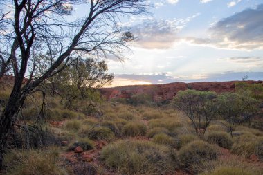 Sidney Briç Şehri Avustralya