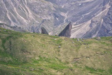 Dağların tepesinde otlayan bir at.
